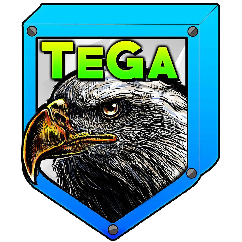 Primer escudo de TheEagleGaming (29 de marzo de 2017 - 2 de junio de 2017)